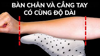 100+ Sự Thật Ấn Tượng Về Cơ Thể Con Người