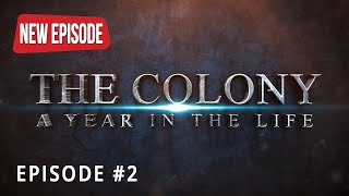 THE COLONY: Episode 2: 'With Six, You Get Sadness.' (Life of a Feral Cat Colony)