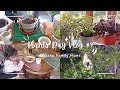 ✨🌱 Cuida tus plantas, Para que Ellas Cuiden de Ti🪴 Día simple pero entretenido en casa 💚🌿 Vlog #9