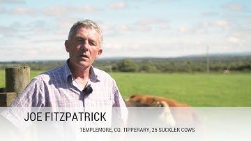 SCR Heatime on Irish beef farms - by Efficient Farm Systems