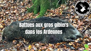 Chasse en battue dans les Ardennes