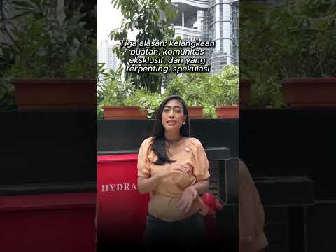 APA KABAR NFT?? PENIPUAN DEKADE INI?