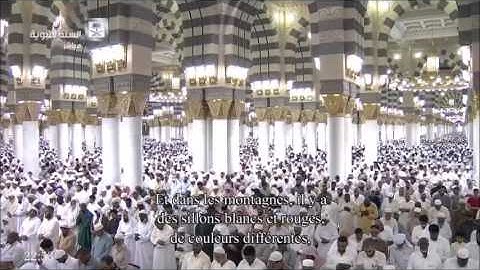 سورة فاطر كاملة للشيخ أحمد الحذيفي من الحرم النبوي الشريف