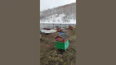 Семья Фетистовых