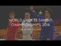 FINALS! World Cadets SAMBO Championships 2018. Day 1