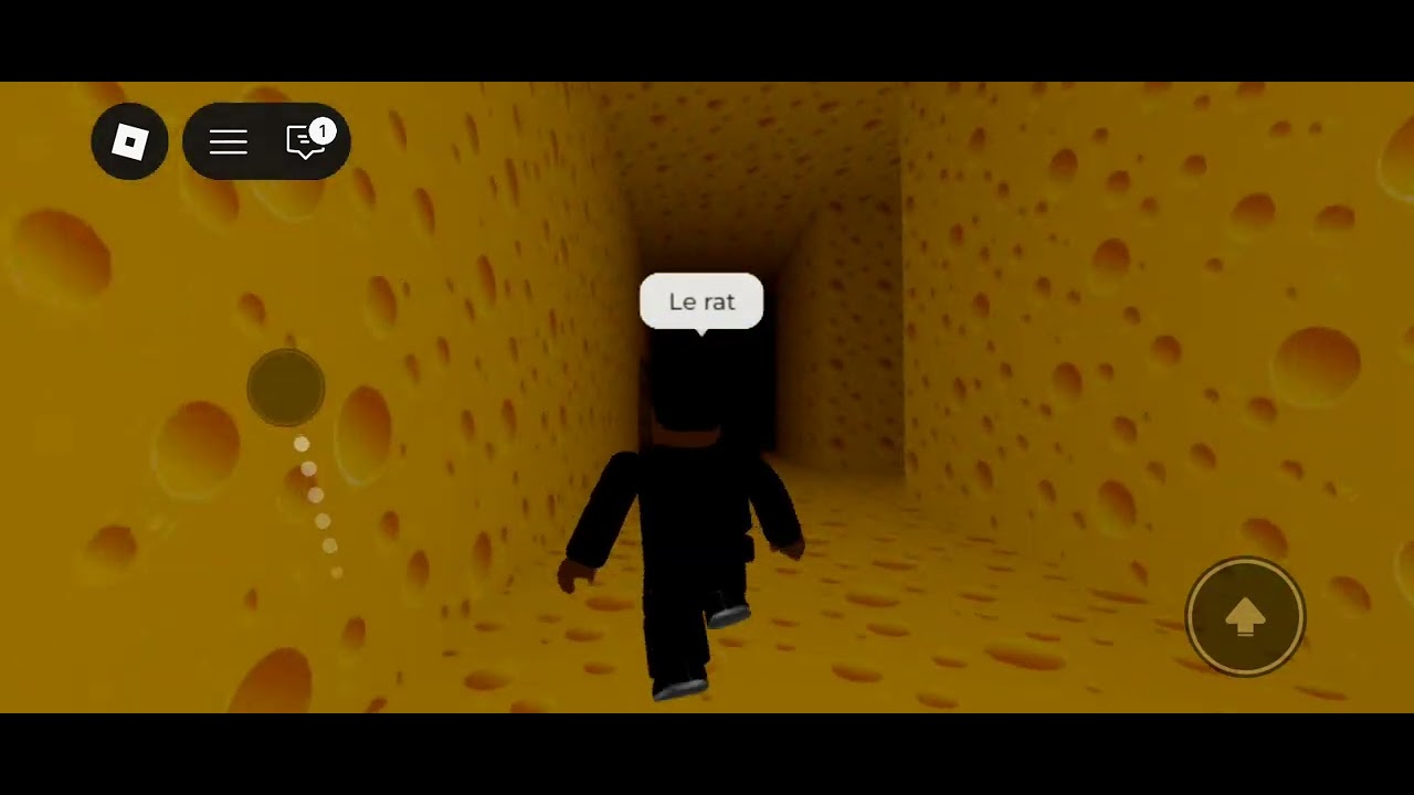 En tout la vie dans le labyrinthe avec ce rat d'horreur 🐀😱