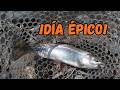 Pesca con MOSCA en equipo SPINNING | Mosca seca vs ninfa y MUCHAS TRUCHAS 🎣