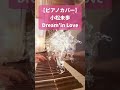 【ピアノカバー】小松未歩 Dream’in Love