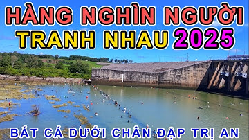 ĐẬP ĐÓNG CỬA 2025 CẢ NGÀN NGƯỜI XUỐNG BẮT CÁ MỨC ĐỘ CẠNH TRANH LÀ OKM|Phuong Pham Millman 
