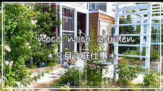 【ガーデン】9月の庭仕事＊可愛い雑草とさよなら