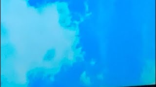 Short Beanboi Update - Blackbeanboi - Day 1112 3132023