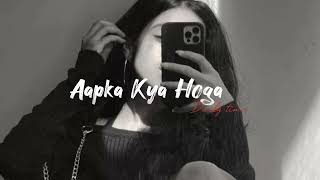 Aapka Kya Hoga (Dhanno)// Akshay kumar/ Mika Singh - Solwed & Reverb
