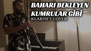 Baharı Bekleyen Kumrular Gibi - Bilge Kaan (Klarnet Cover) Resimi