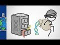Genetic Data Privacy and Security