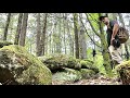 Do you ever wonder about the rock walls in New England ?