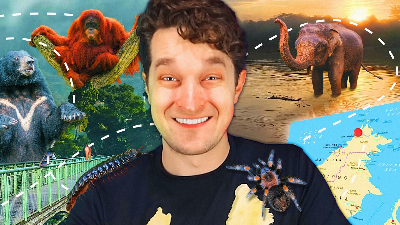 I went to Borneo to learn about the rainforest | Valkations
