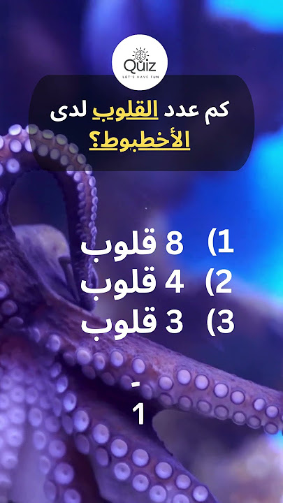 كم عدد القلوب لدى الأخطبوط؟