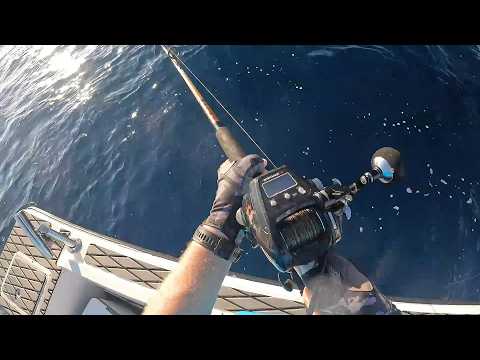 Middle Deep Run With the Kraken
