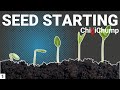 Chilli pepper seed starting  episode 1