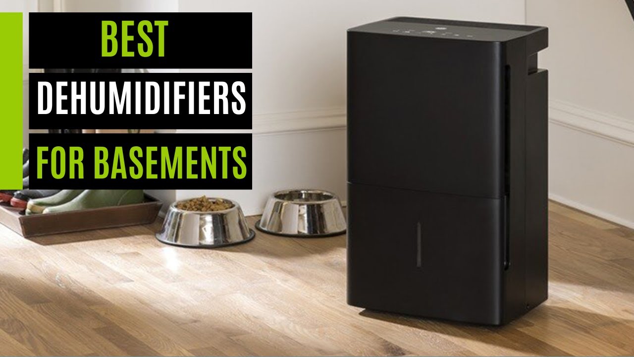 What Is The Best Basement Dehumidifier?