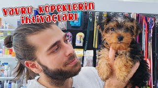 Köpek Sahiplenince Alınması Gerekenler! ( Yavru Köpeklerin İhtiyaçları ) #TheVet screenshot 3