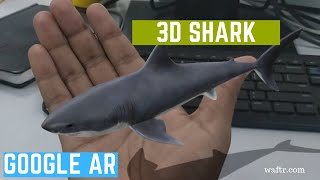 How to see 3D Shark AR in Google Search