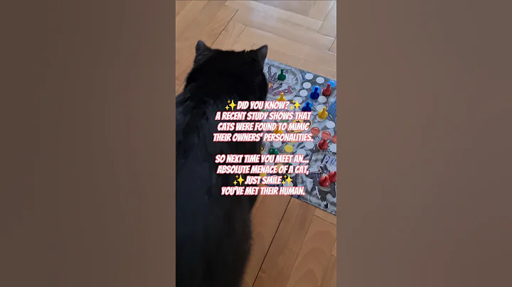 Did you know? Cats Copy You! 🙀 #shorts #cat #trending #foryou #viral #catlover #cutecat