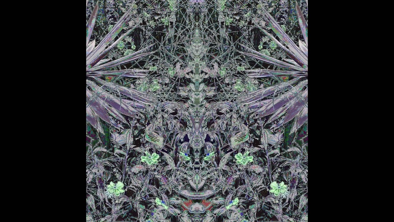 Watch Yoos - Nightshade on YouTube Watch Yoos - Nightshade on YouTube