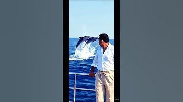 Unlock the Power of Smart Learning with Advanced Gadgets! 🌟🎓