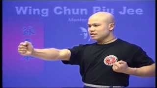 Wing Chun kung fu - wing chun biu Jee form applications Lessons 1 screenshot 2