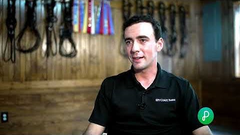 Horse Trainer - Pathful Virtual Job Shadow Video