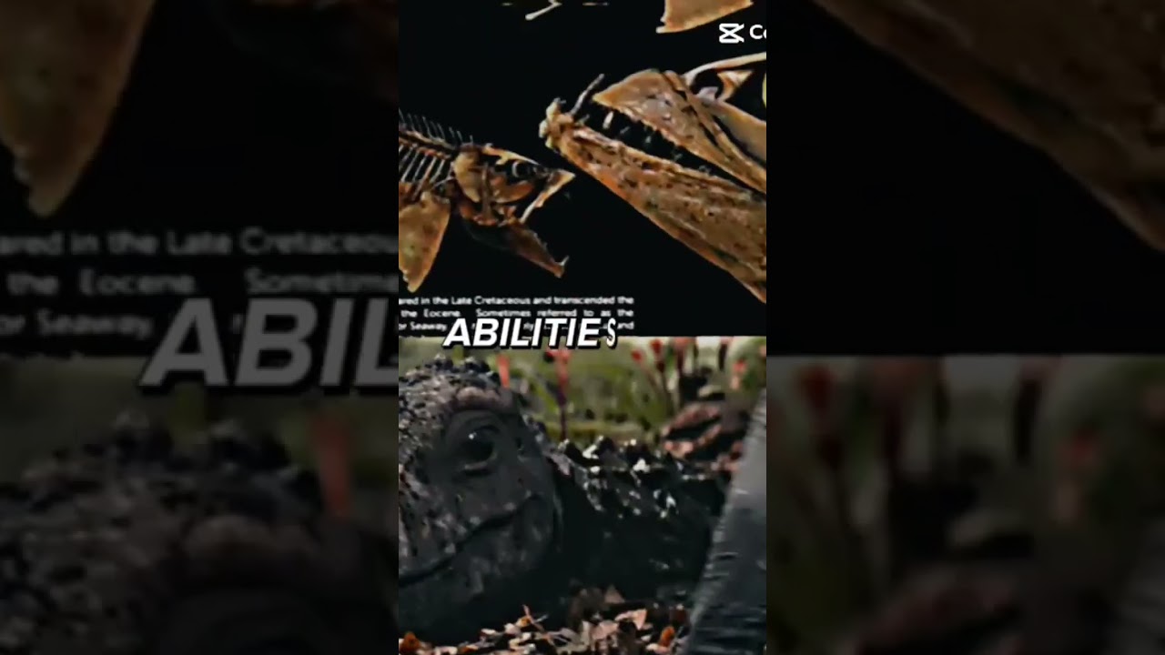 enchodus vs jakapil f4u Corsair vs paraceraterion