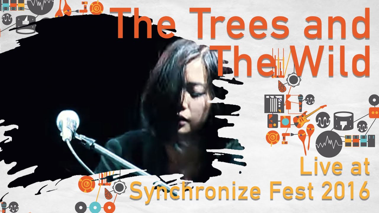 The Trees & The Wild LIVE @ Synchronize Fest 2016