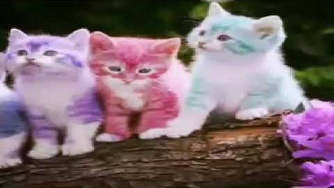 Minecraft Pocket Edition - How To Make Color Text And 4 Name Tag Tricks!