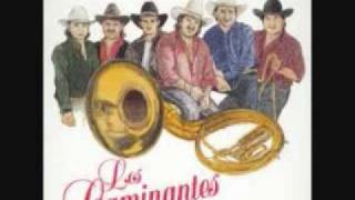 Video voorbeeld van "los caminantes con banda tu mirada_0001.wmv"