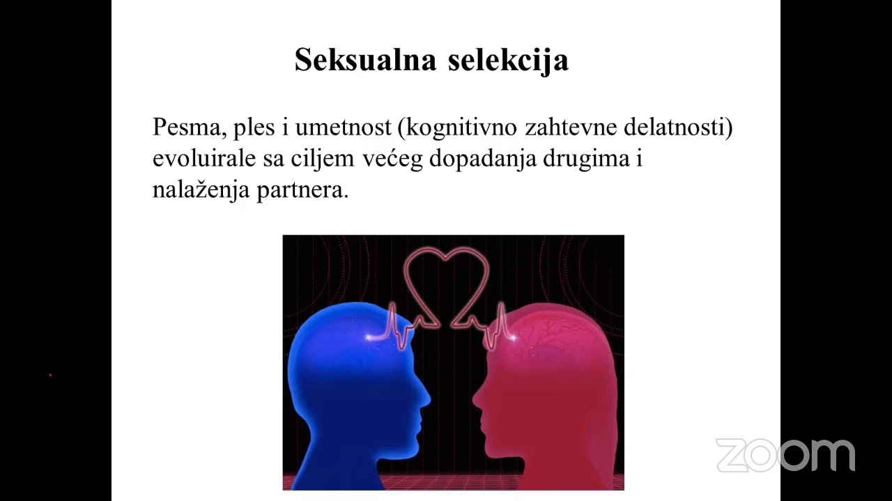 Evolucija mozga čoveka - prof Biljana Stojković