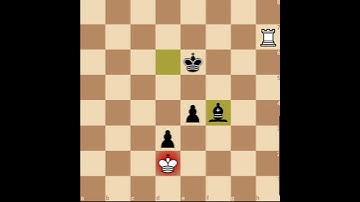 Chess 101. Learn to stop Advancing Pawn promotion