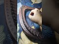 Amazing Grace - Traditional | Lyre Harp Cover | Short