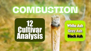 Combustion | 12 Cultivar Analysis | UK Medical Cannabis Review