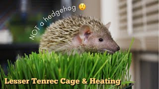 My Lesser Tenrec’s Cage & Heating (Not A Hedgehog)