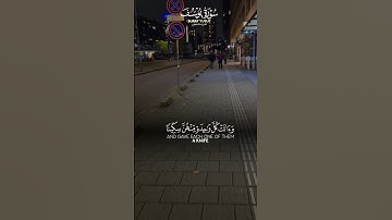 تلاوة خاشعة لآيات من كتاب الله #القرآن_الكريم #الله #اكسبلور #المصحف #foryou #راحة_نفسية #fyp