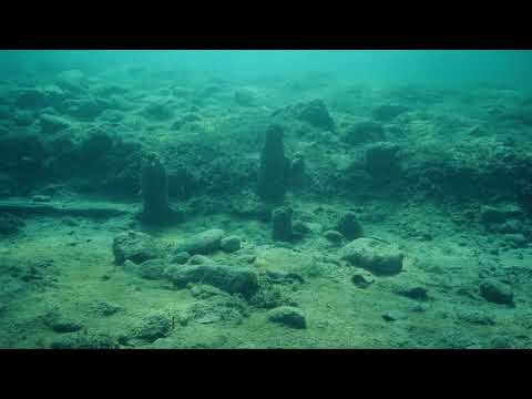 Video: Was ist eine Lombardei-Pappel: Erfahren Sie mehr über den Anbau von Lombardei-Pappeln in Landschaften