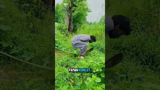 Found A Fake Snake Twice