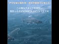 ＃Short　アワセるより備える