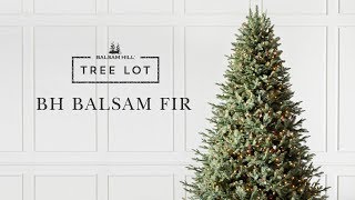 BH Balsam Fir Artificial Christmas Tree | Balsam Hill® Tree Lot