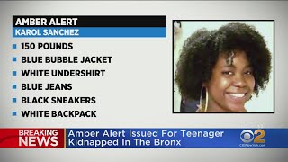 Amber Alert: 16-Year-Old Girl Karol Sanchez Kidnapped While Walking With Mother In The Bronx