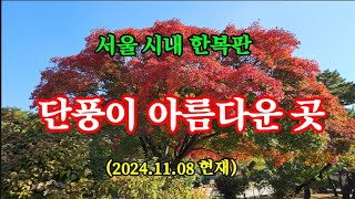 아름다운 단풍
