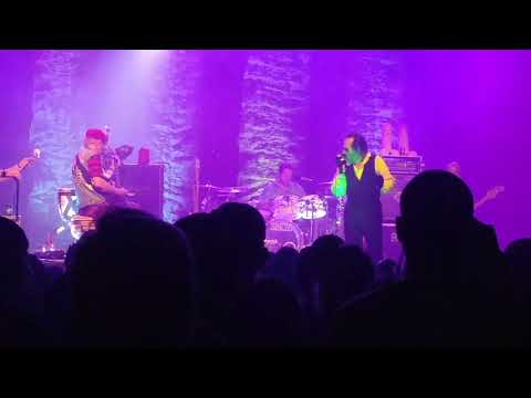 The Damned -