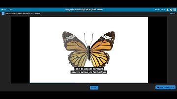 IMAGE PROCESSING ONRAMP - Introduction
