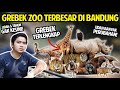 GREBEK TERLENGKAP BANDUNG ZOOLOGICAL GARDEN #PART1 | KEBUN BINATANG TERLUAS DI BANDUNG!